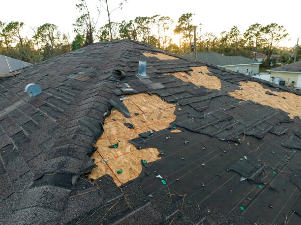 Best Rubber Roofing (EPDM, TPO)  in Narragansett Pier, RI